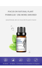 Charger l'image dans la galerie, 10ml Essential Oil